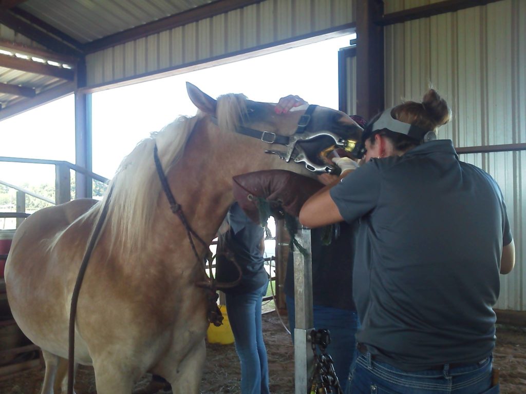 Mom do I have to?? Yep! Show us your pearly whites, Cowboy!