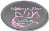 Sulphur River Veterinary Clinic