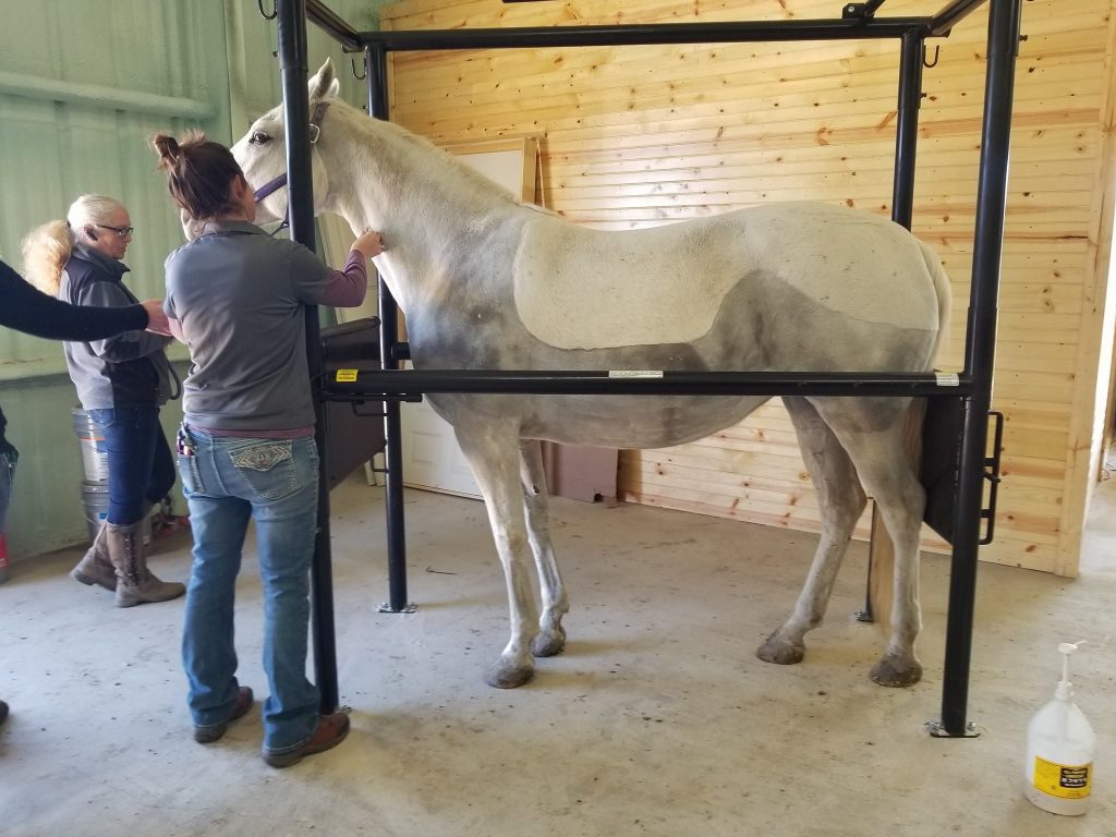 Sulphur River Veterinary Clinic