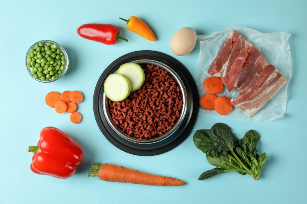 Concept of organic pet food on blue background